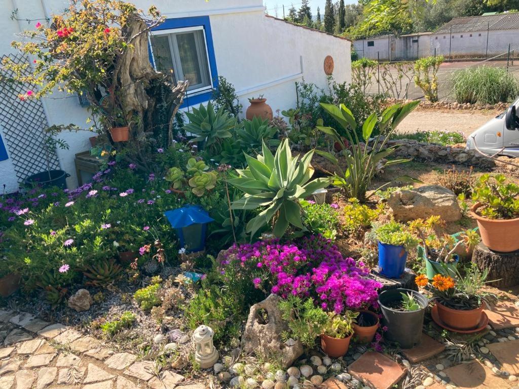 Casa Joy Villa Guia  Buitenkant foto